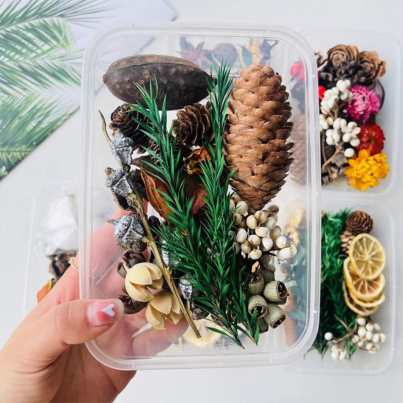 Rustic Forest Style Mixed Drie - Dried Fruit Mix 评论和价格