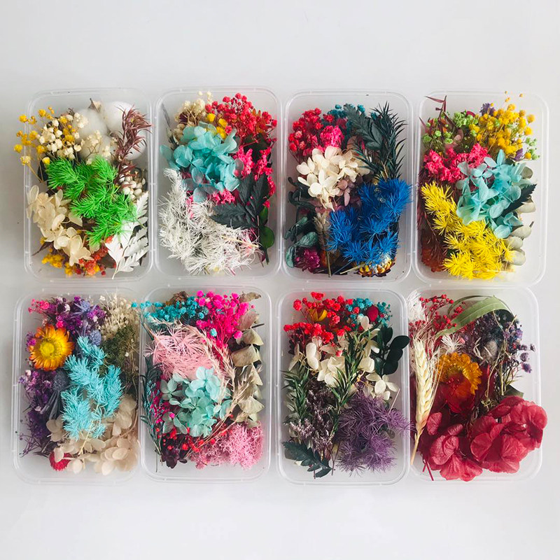 Rustic Forest Style Mixed Drie - Dried Fruit Mix 评论和价格